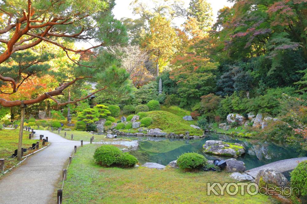 青蓮院の池泉回遊式庭園