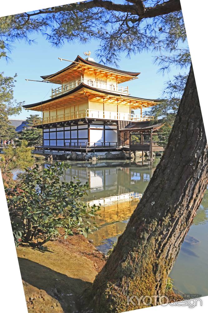 西日に映える舎利殿