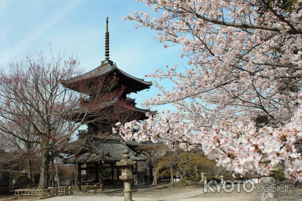 真如堂の三重塔