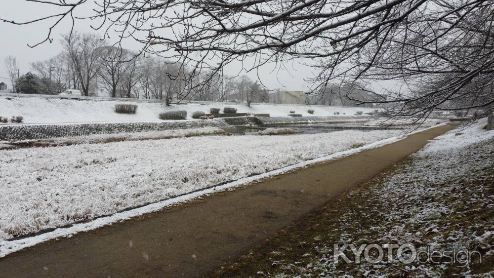 雪を羽織った加茂川