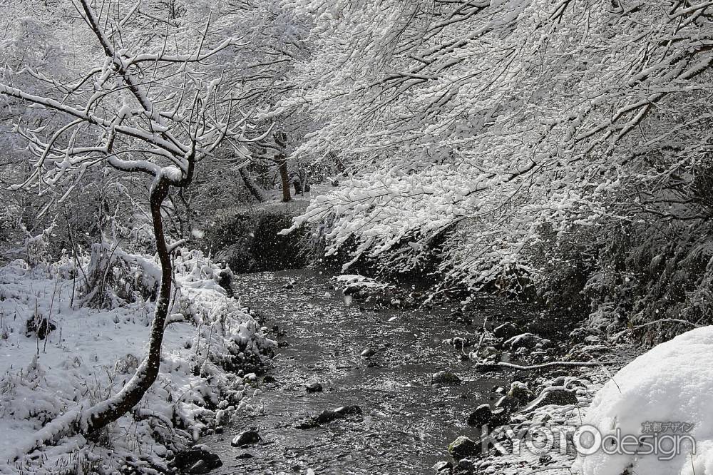 雪の貴船川