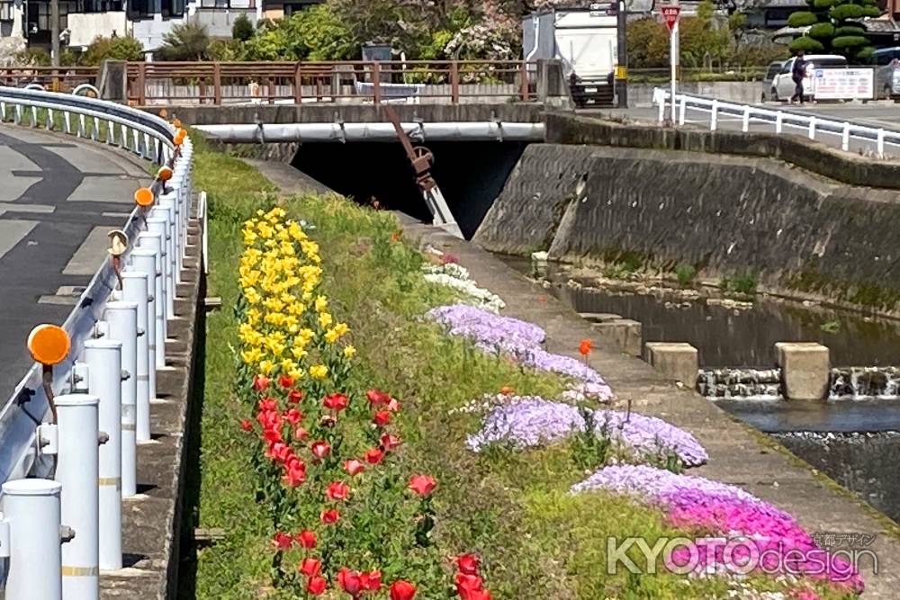 岩倉川の花壇