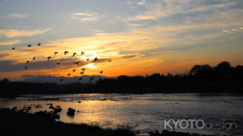 朝焼けの空にカラス飛び立つ