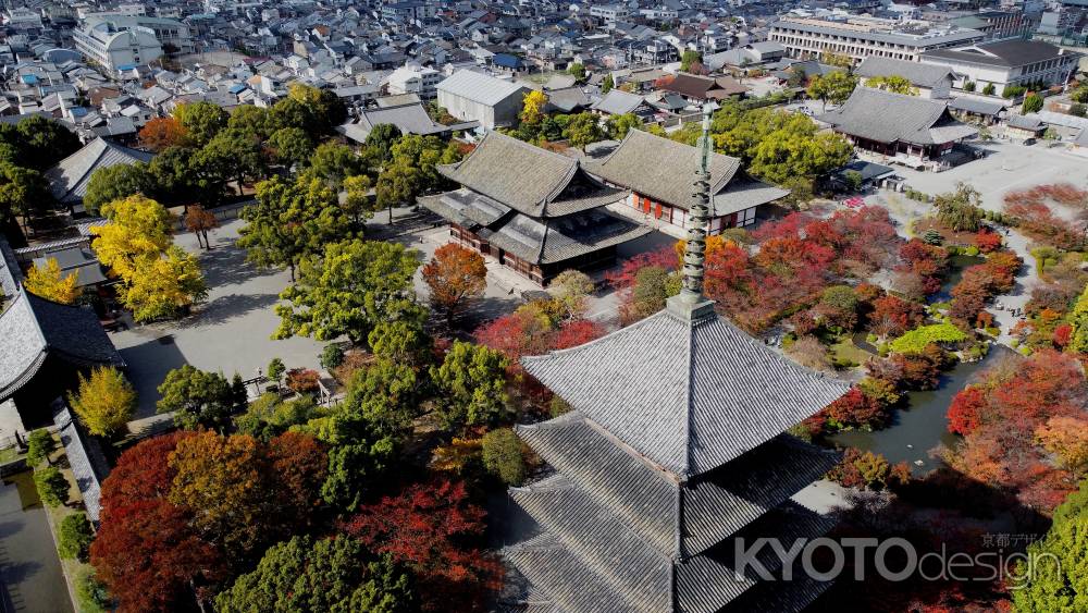 紅葉に包まれた東寺