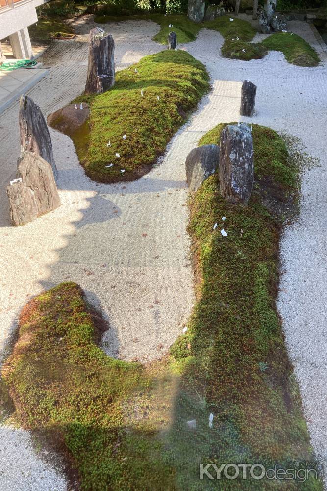 泉涌寺　本坊の中庭