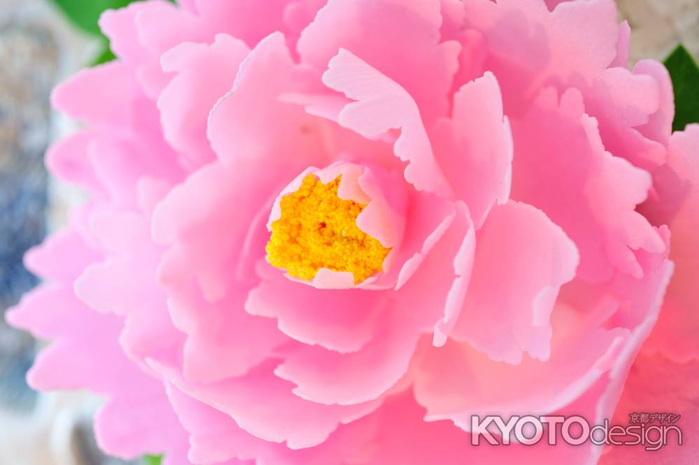 和菓子の世界　10