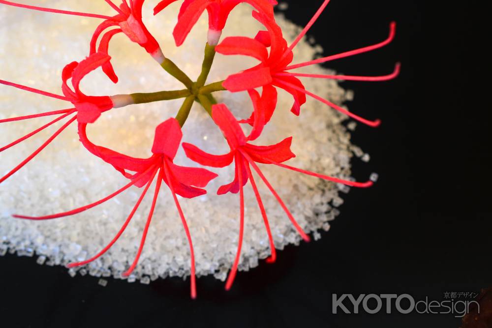 和菓子の世界　14