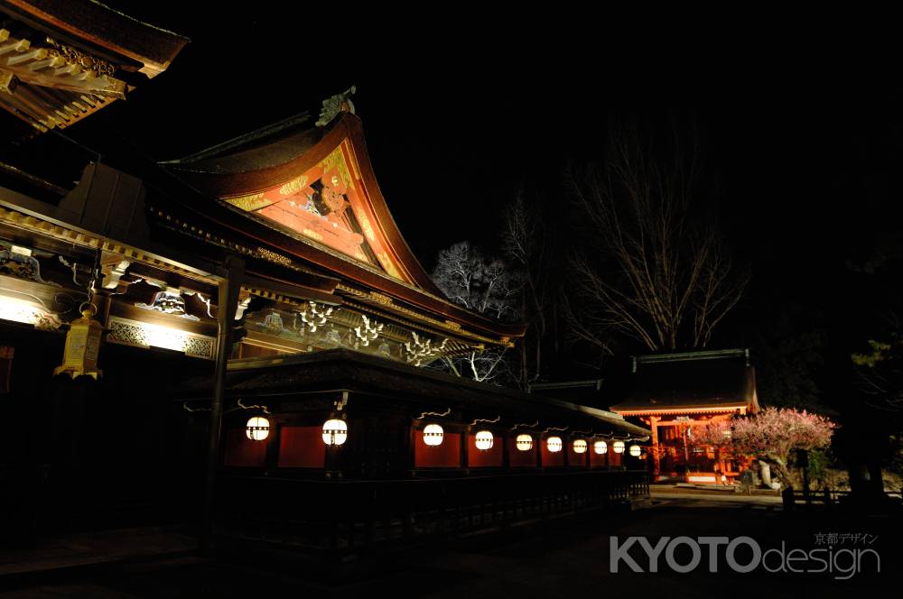 北野天満宮　ライトアップ　梅見頃