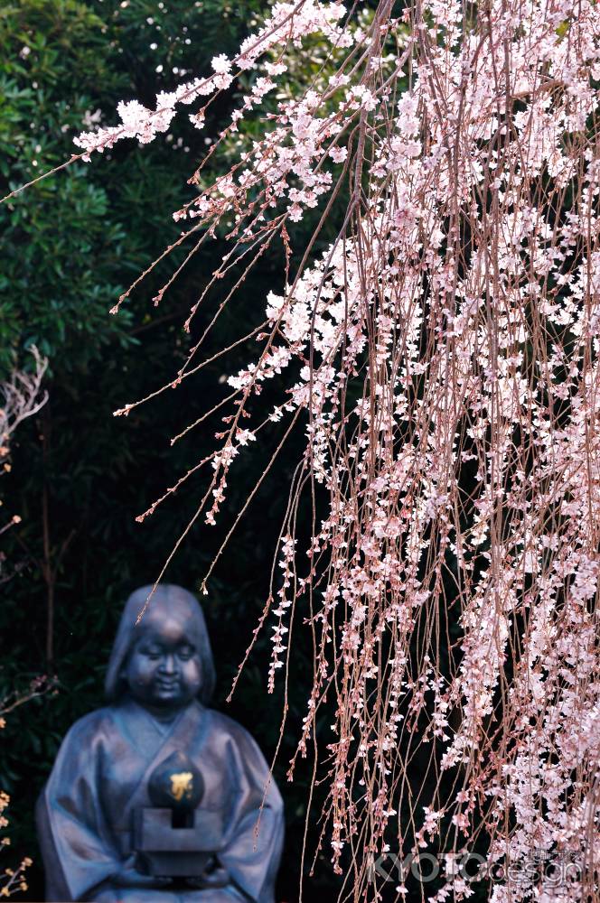 おかめさんのお花見