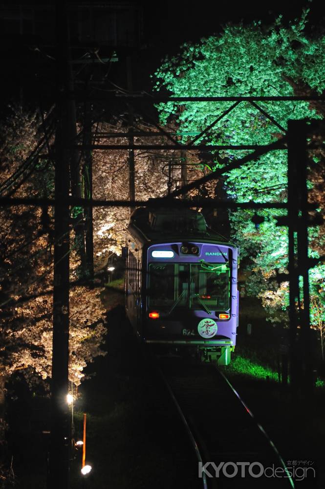 嵐電　桜ライトアップ　夜桜電車