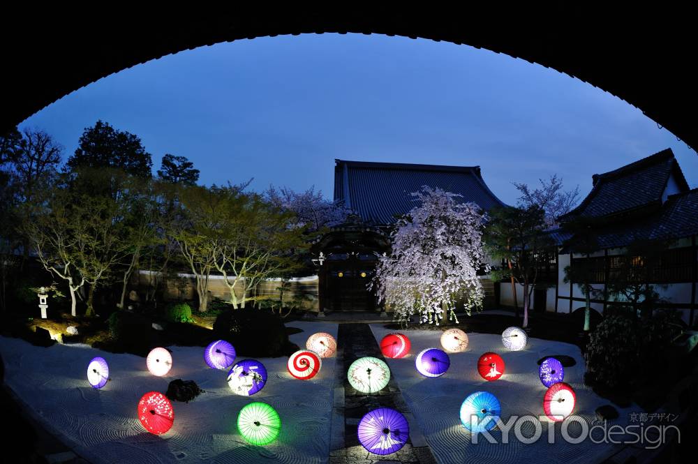 妙顕寺　春の特別拝観ライトアップ　ブルーモーメント