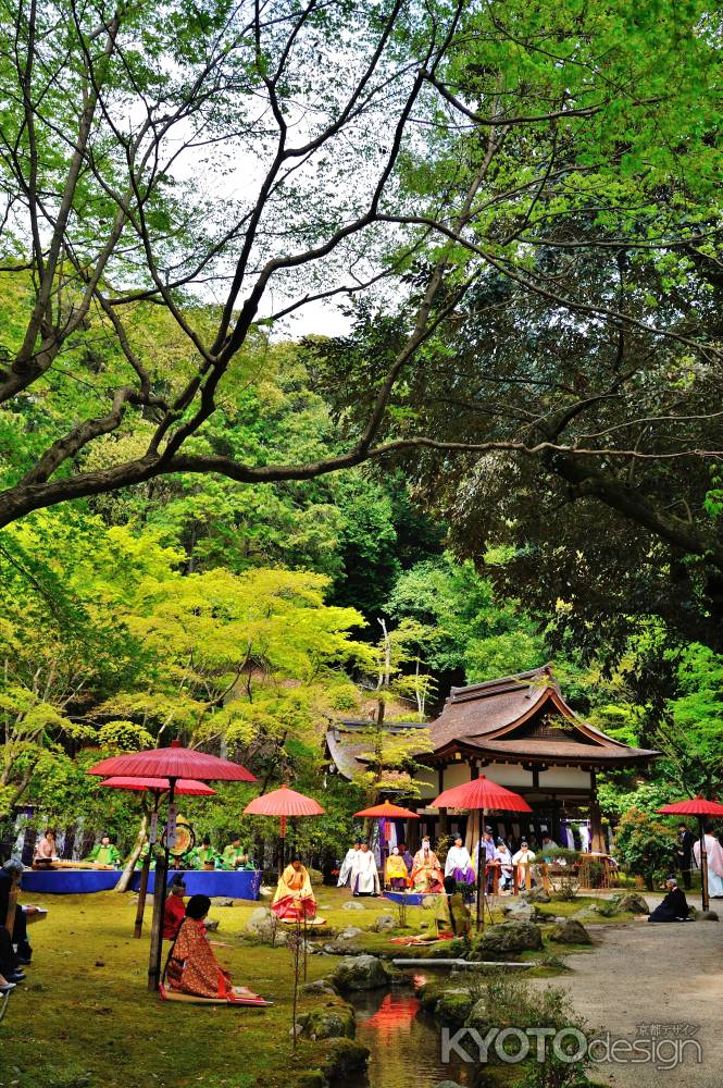 上賀茂神社　賀茂曲水宴　木洩れ日
