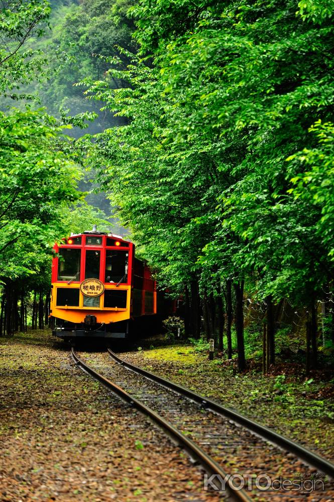 緑走るトロッコ列車