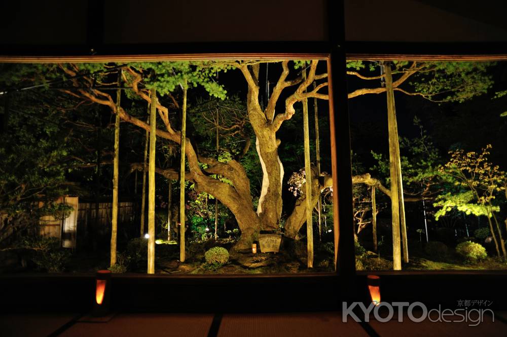 卯月　五葉の松