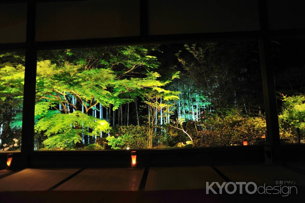 春の夜灯り　竹