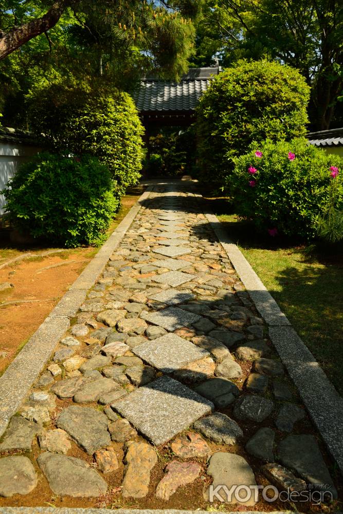 源光庵　ひし形　石畳