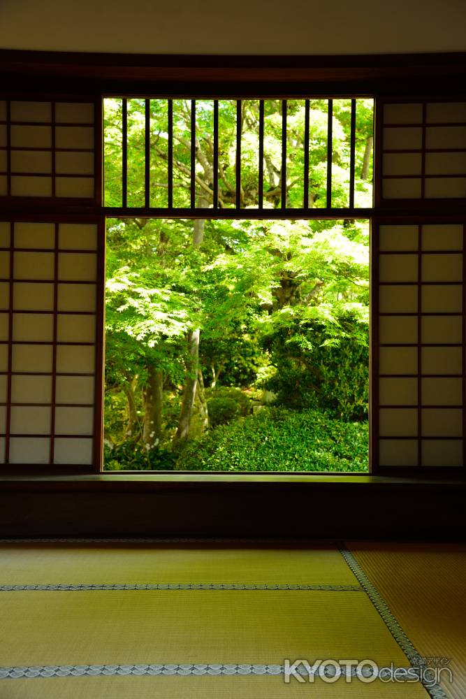 迷いの窓　釈迦の四苦