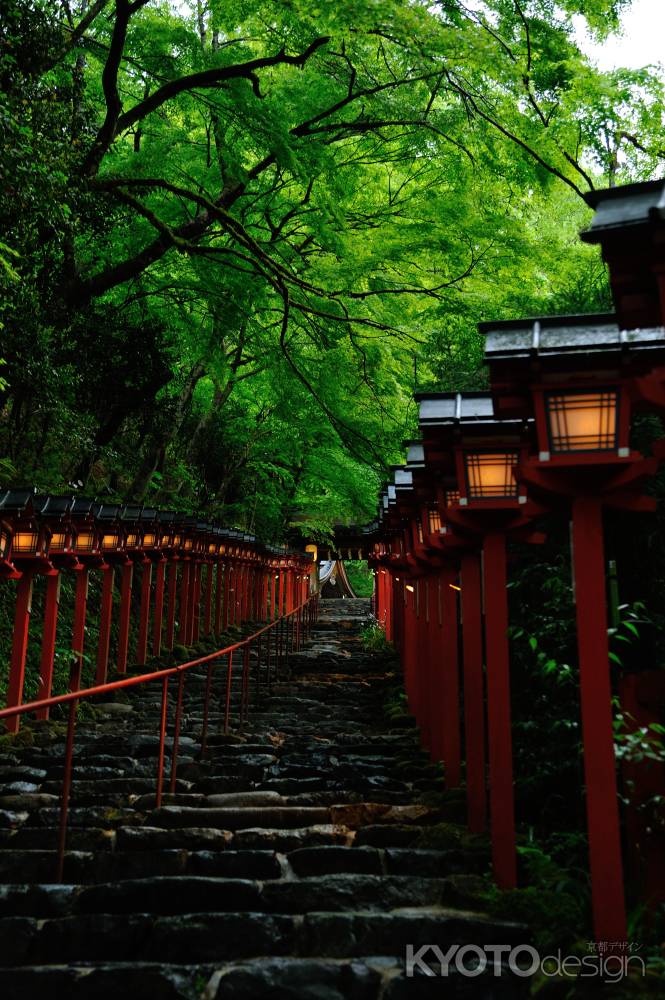 貴船神社　新緑ライトアップ　