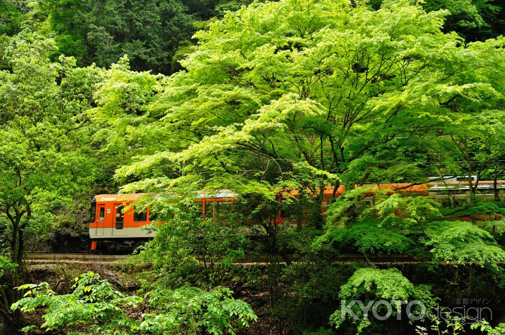 オレンジ色映える