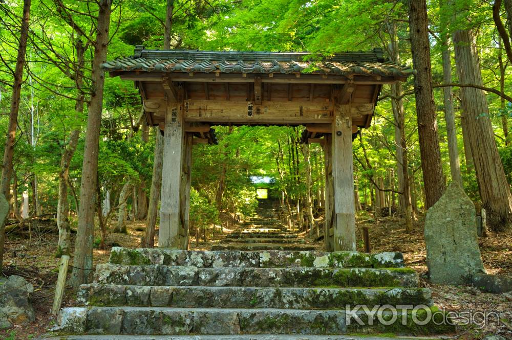 常照皇寺　三門