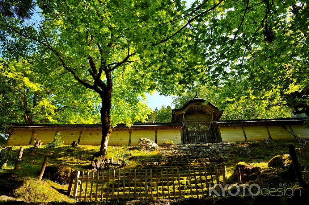 常照皇寺　勅使門