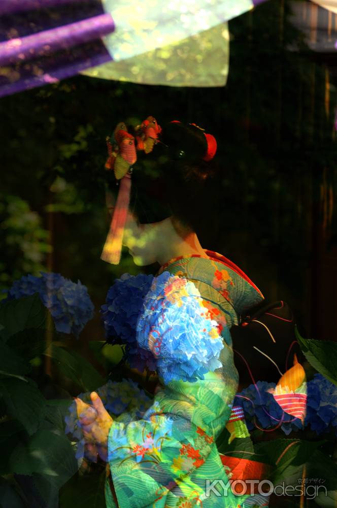 もうすぐ舞妓さん