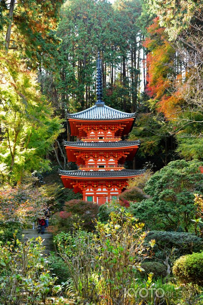 木洩れ日の三重塔