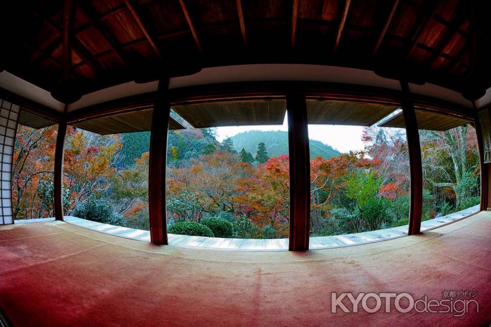 超ワイド＆パノラマ