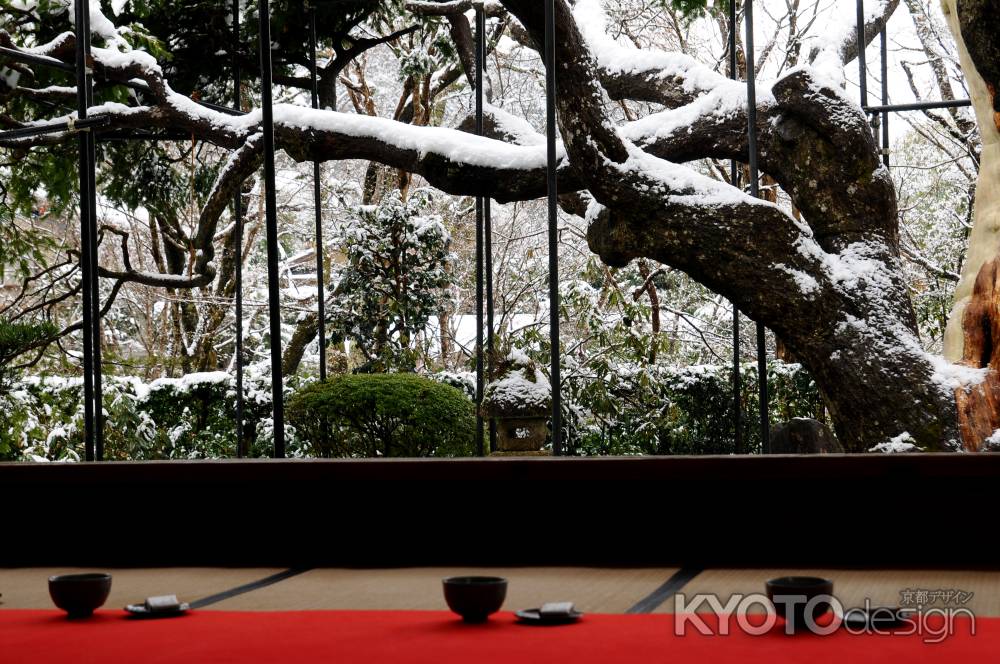 雪の茶席