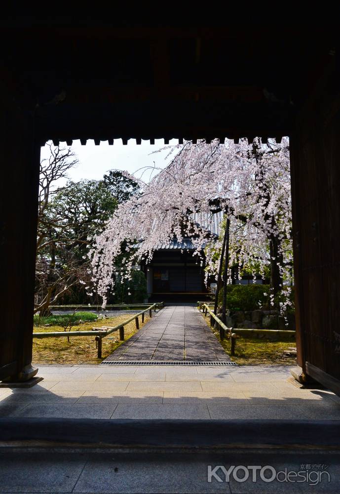 門をくぐればそこは春