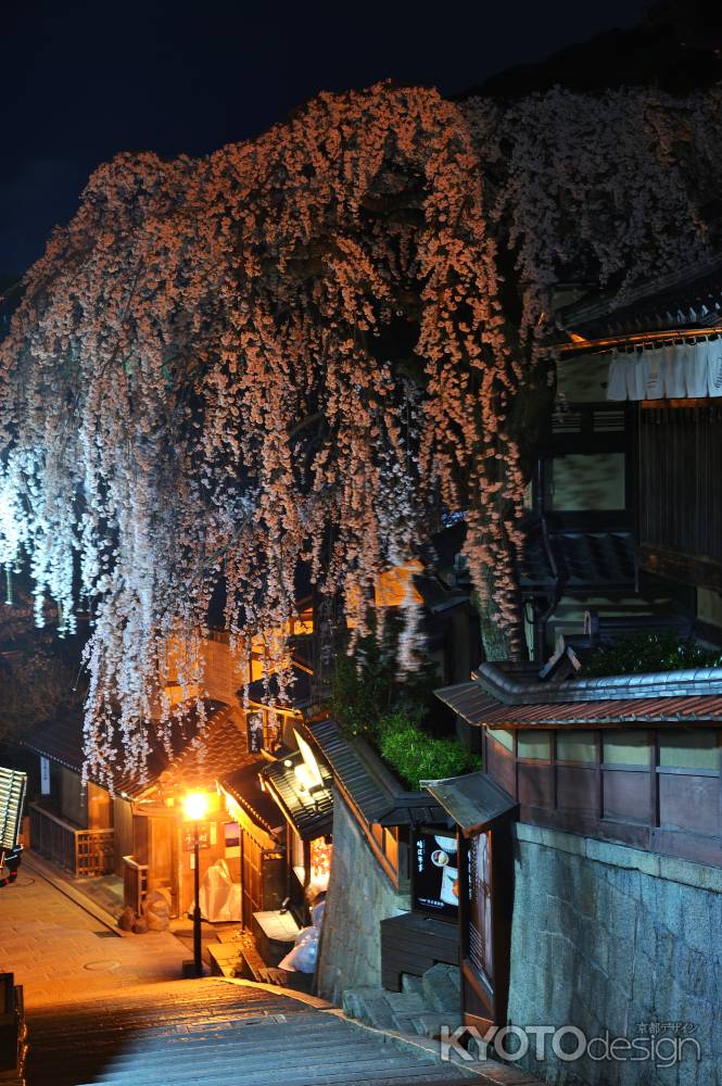 産寧坂　枝垂れ桜