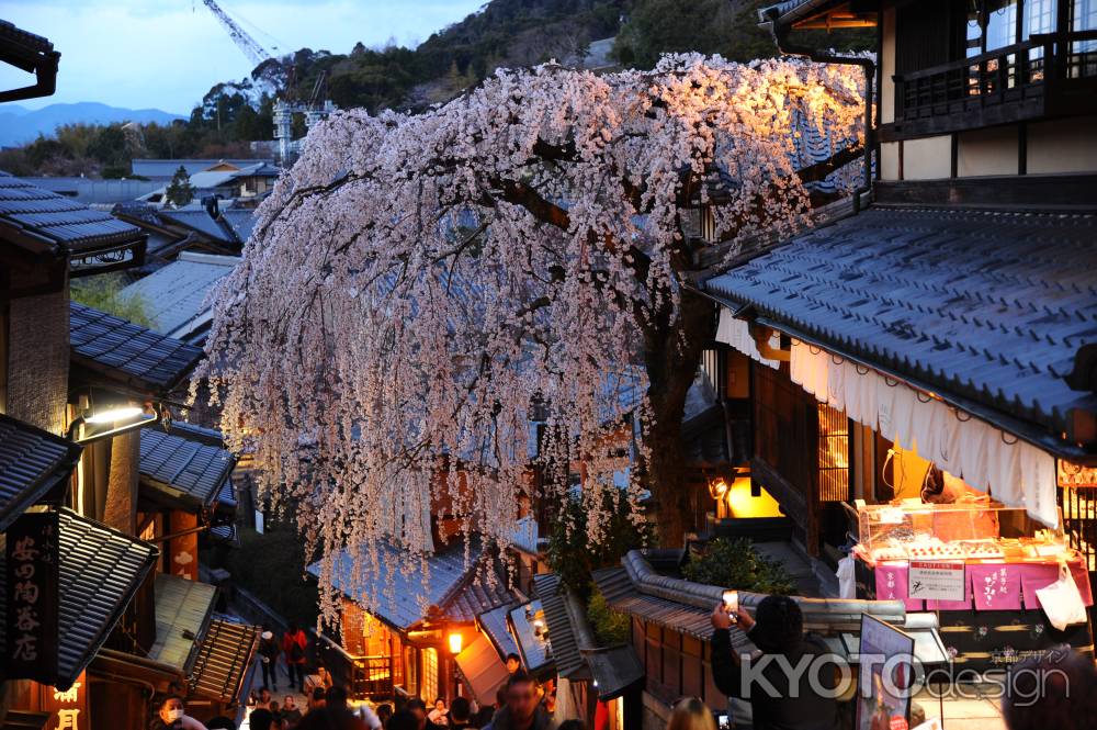 桜花の色は昔のまま