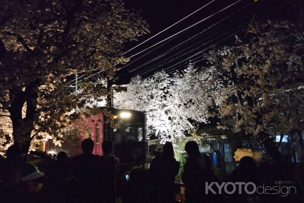 撮り鉄　春の陣