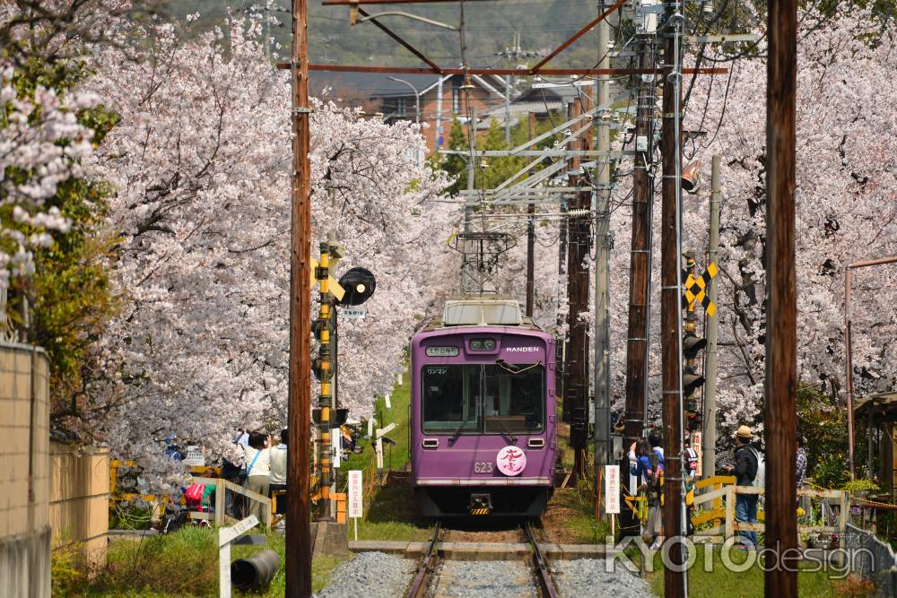 ガタン♪ゴトン♪春