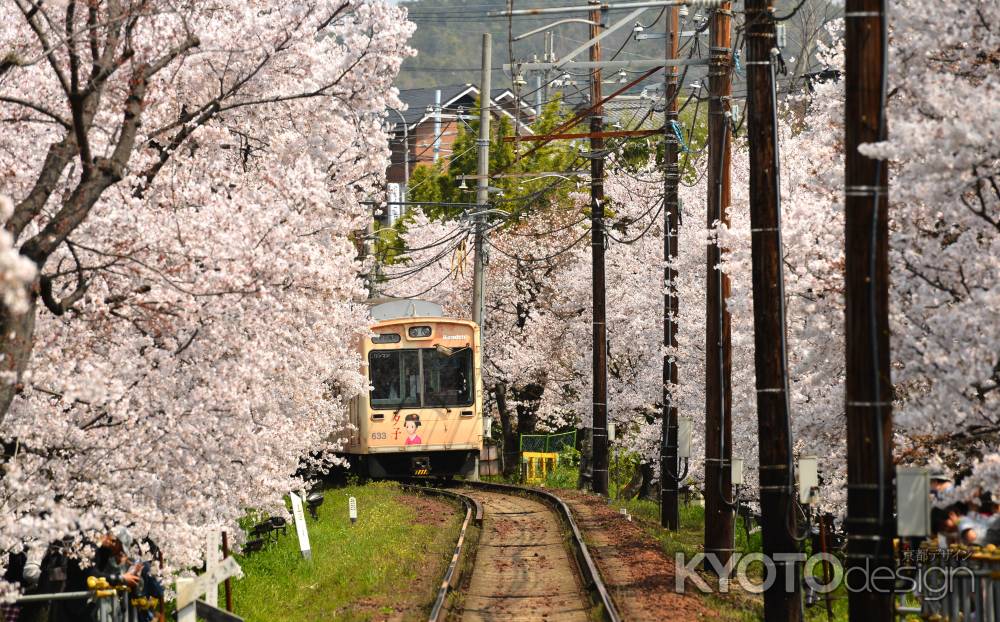 夕子ちゃんの春