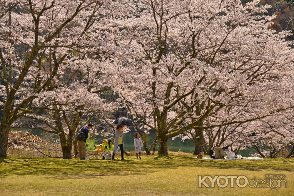 春のピクニック　