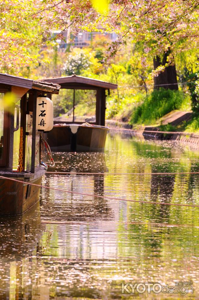 うららかな花筏