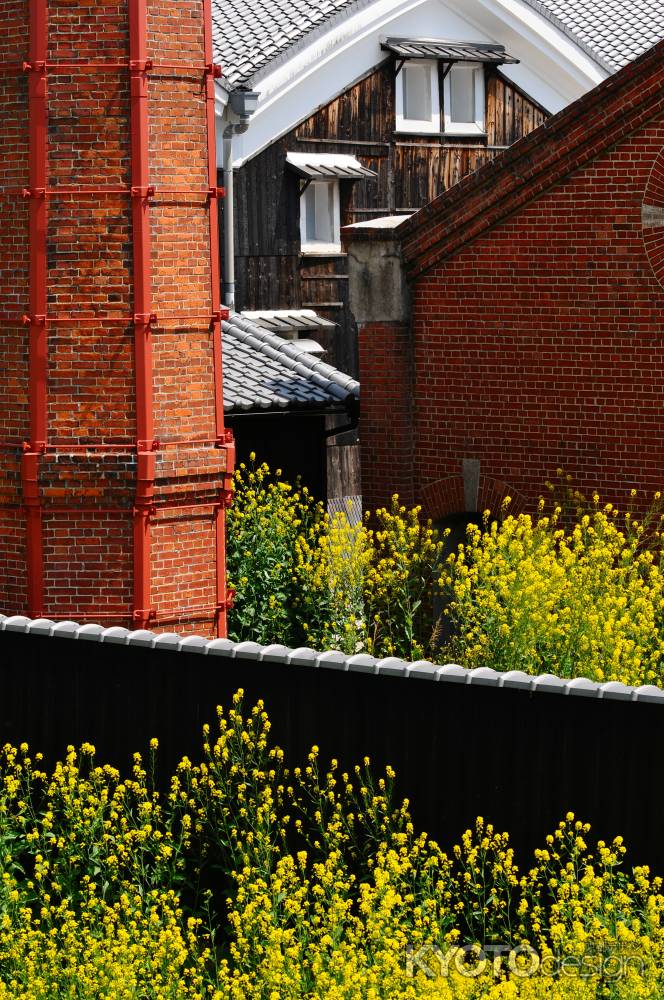 レンガと菜の花