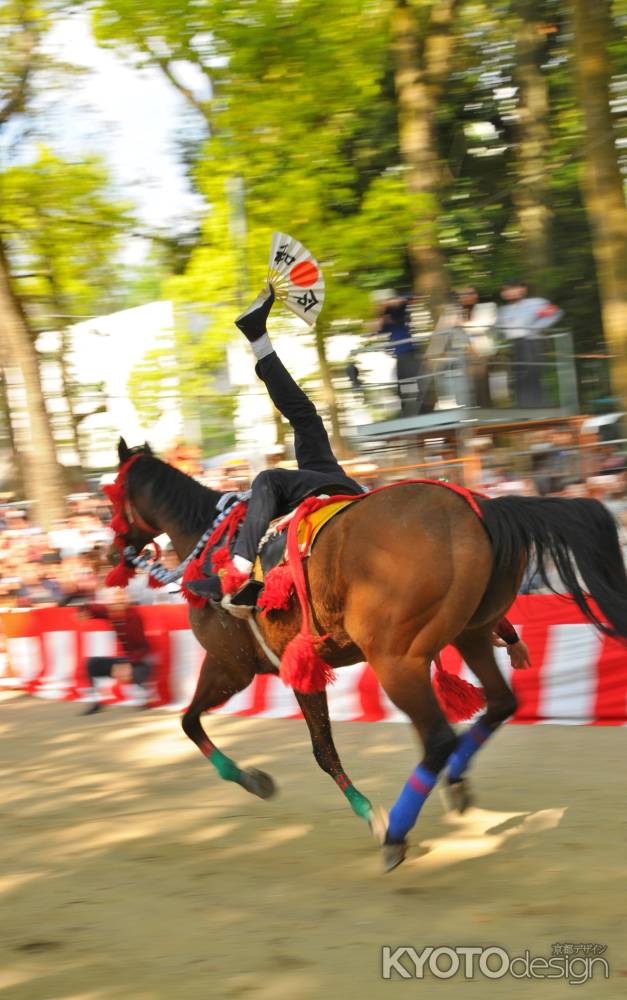 令和　藤下がり