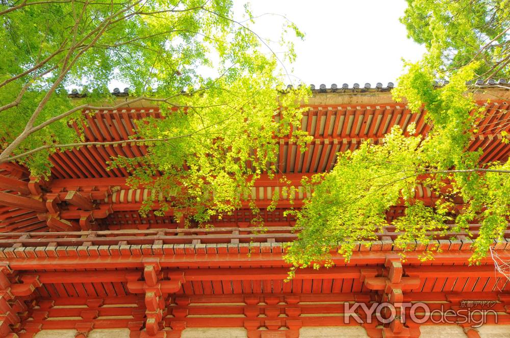 西大門（仁王門）輝く緑