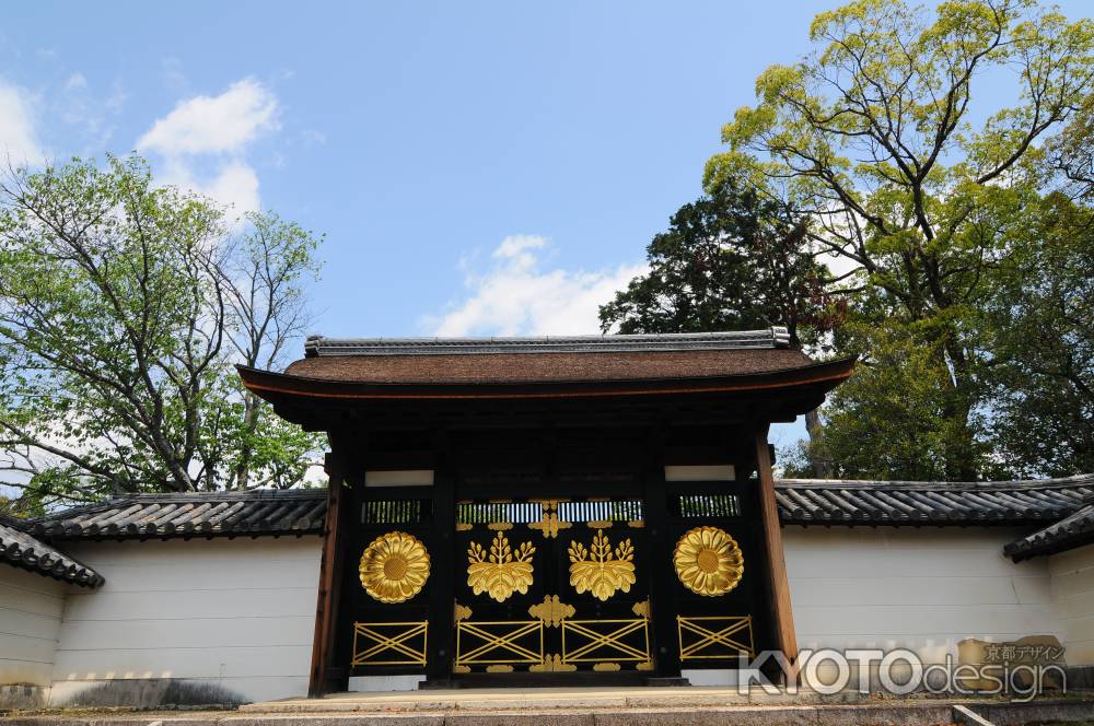 三宝院唐門　皐月の空と緑
