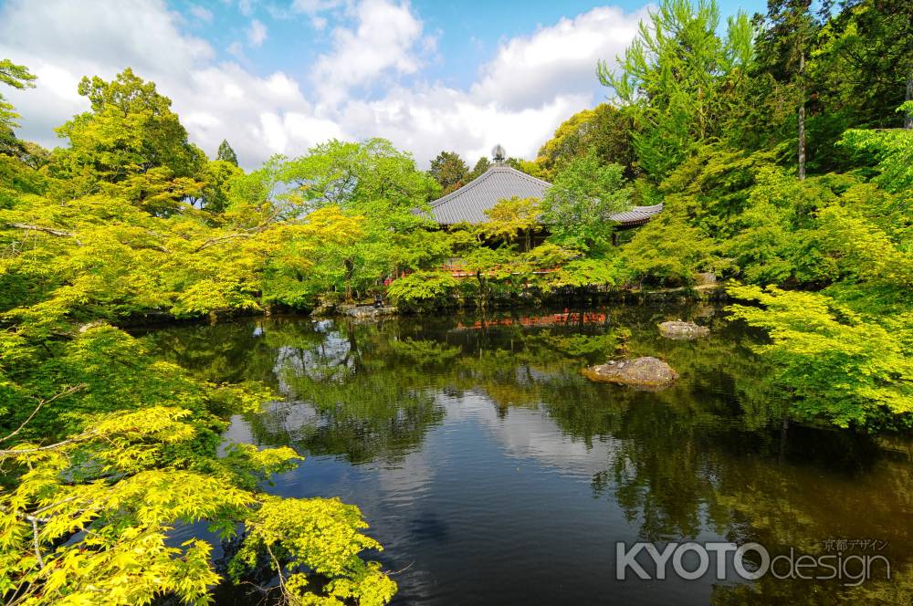 観音堂　広がる緑