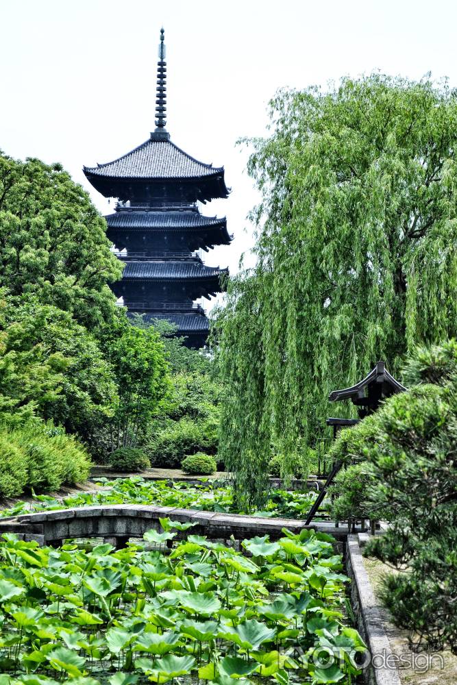 東寺　深い翡翠色