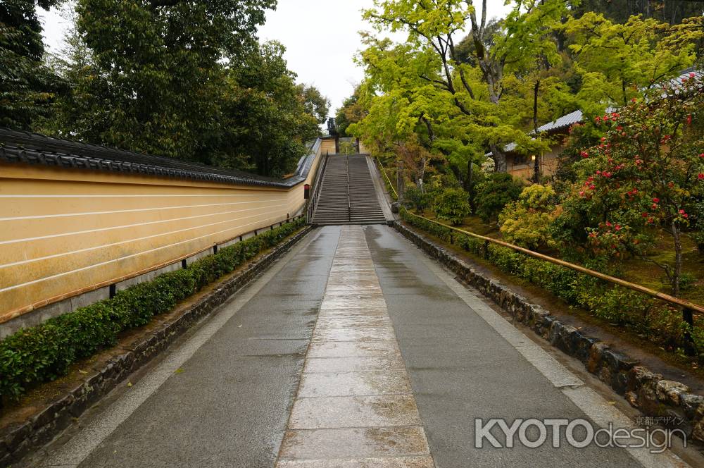 いつこの道に人が戻るのだろう