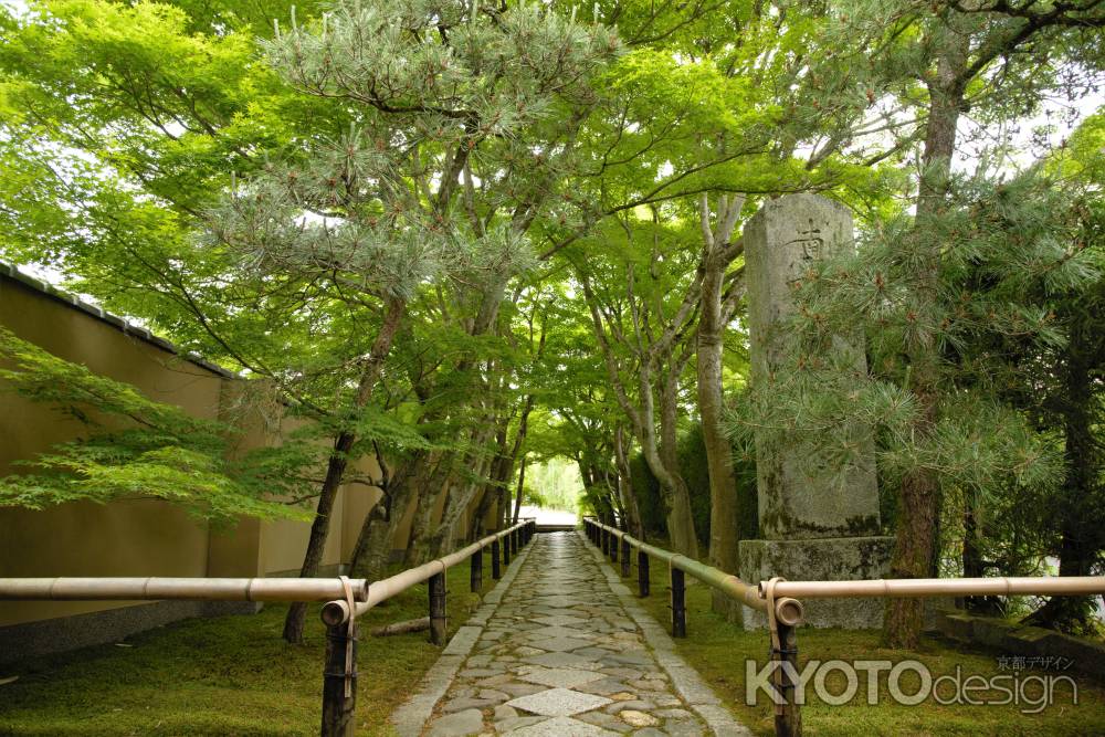 緑は続くよどこまでも