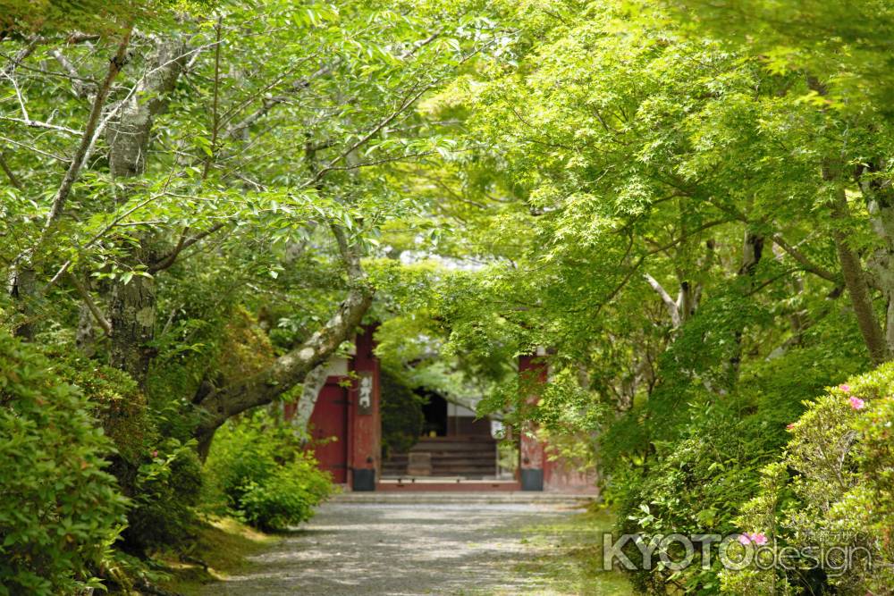 緑の中の吉野門