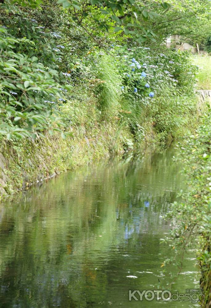 クロード　モネの緑