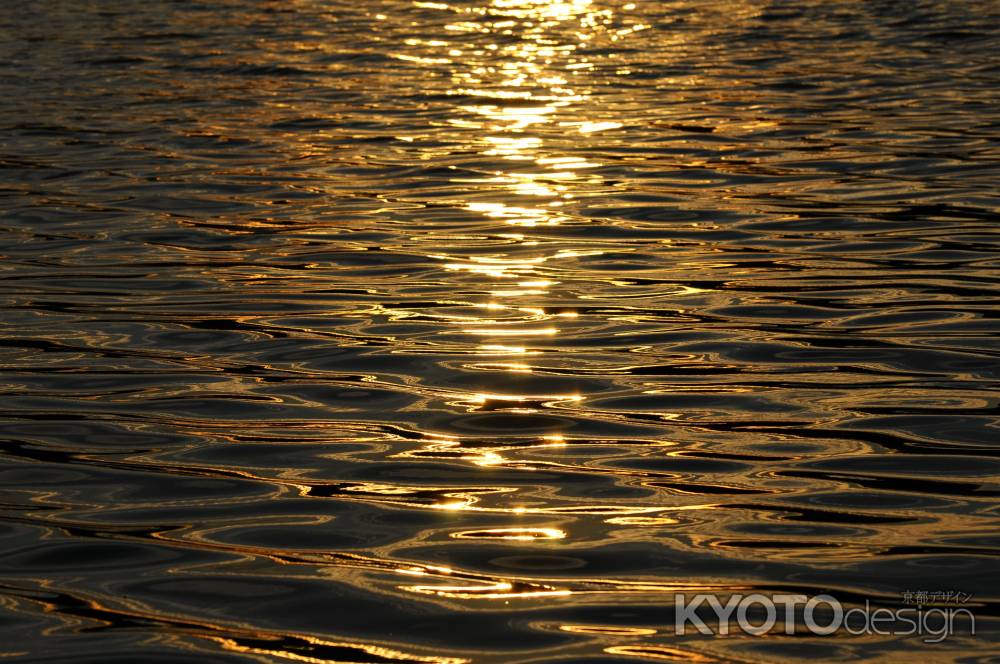 水面　クローズアップ