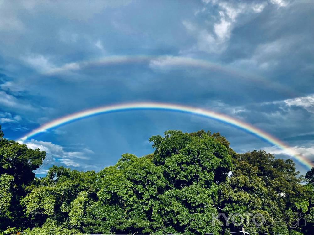 真夏の虹