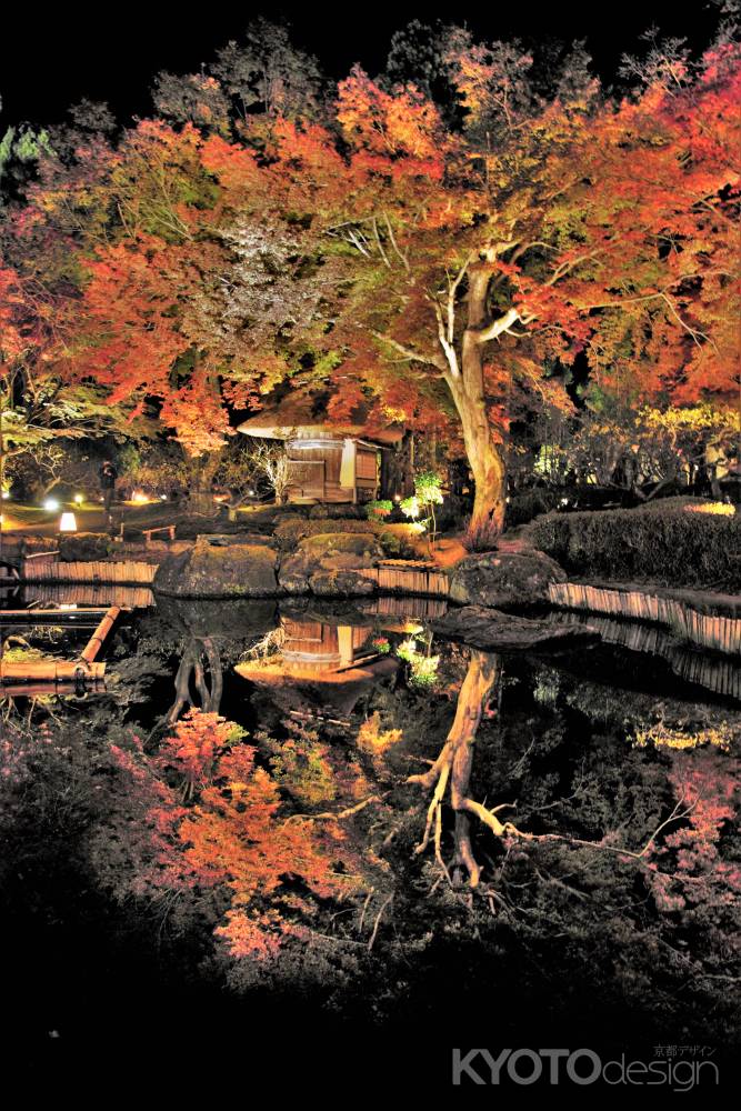 木樽小屋の水鏡